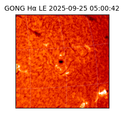 gong - 2025-09-25T05:00:42