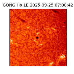 gong - 2025-09-25T07:00:42