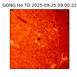 gong - 2025-09-25T09:00:22