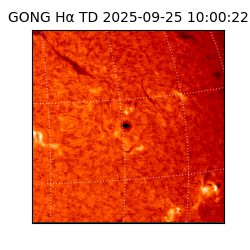 gong - 2025-09-25T10:00:22