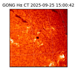 gong - 2025-09-25T15:00:42