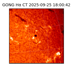 gong - 2025-09-25T18:00:42