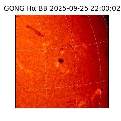 gong - 2025-09-25T22:00:02