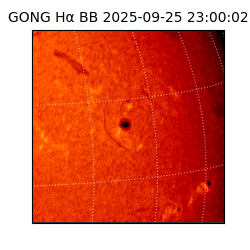 gong - 2025-09-25T23:00:02