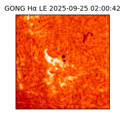 gong - 2025-09-25T02:00:42