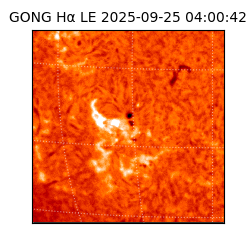 gong - 2025-09-25T04:00:42