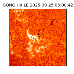 gong - 2025-09-25T06:00:42