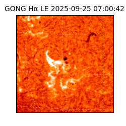 gong - 2025-09-25T07:00:42