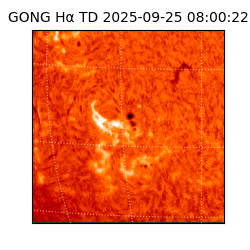 gong - 2025-09-25T08:00:22