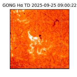 gong - 2025-09-25T09:00:22