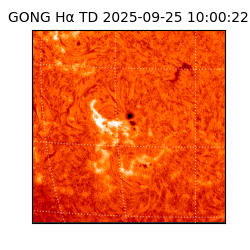 gong - 2025-09-25T10:00:22