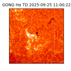 gong - 2025-09-25T11:00:22