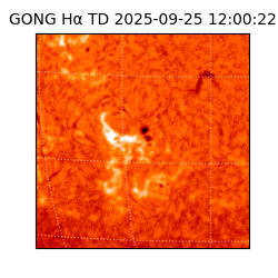 gong - 2025-09-25T12:00:22