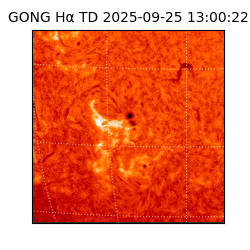 gong - 2025-09-25T13:00:22