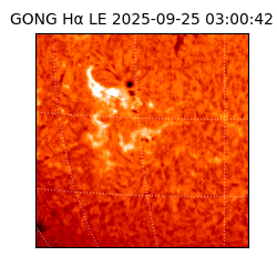 gong - 2025-09-25T03:00:42