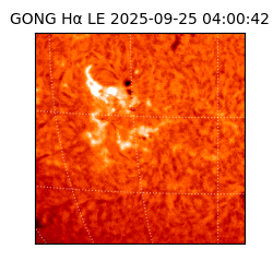 gong - 2025-09-25T04:00:42