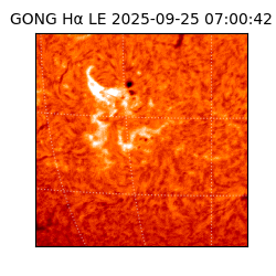 gong - 2025-09-25T07:00:42