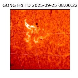 gong - 2025-09-25T08:00:22