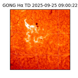 gong - 2025-09-25T09:00:22