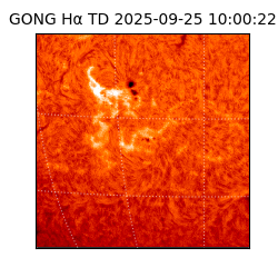 gong - 2025-09-25T10:00:22