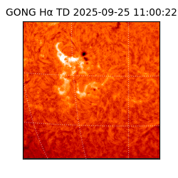 gong - 2025-09-25T11:00:22