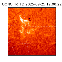 gong - 2025-09-25T12:00:22