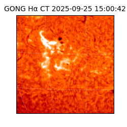 gong - 2025-09-25T15:00:42