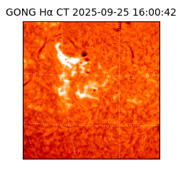 gong - 2025-09-25T16:00:42