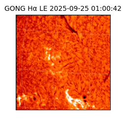 gong - 2025-09-25T01:00:42