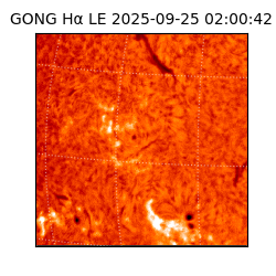 gong - 2025-09-25T02:00:42