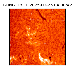 gong - 2025-09-25T04:00:42