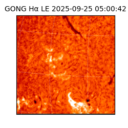 gong - 2025-09-25T05:00:42