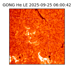 gong - 2025-09-25T06:00:42