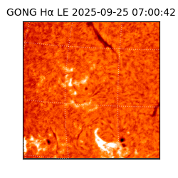 gong - 2025-09-25T07:00:42