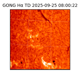 gong - 2025-09-25T08:00:22