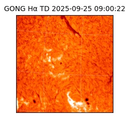 gong - 2025-09-25T09:00:22