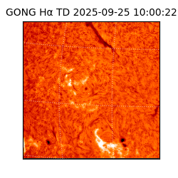 gong - 2025-09-25T10:00:22