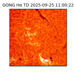 gong - 2025-09-25T11:00:22