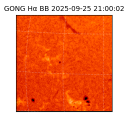 gong - 2025-09-25T21:00:02