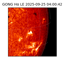 gong - 2025-09-25T04:00:42