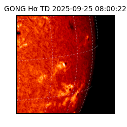 gong - 2025-09-25T08:00:22