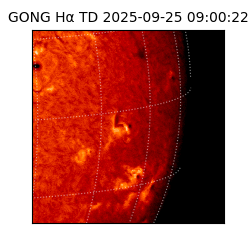gong - 2025-09-25T09:00:22