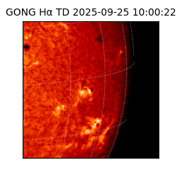 gong - 2025-09-25T10:00:22