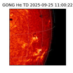 gong - 2025-09-25T11:00:22