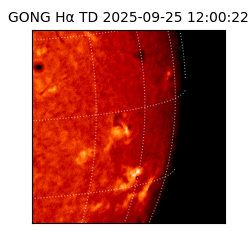 gong - 2025-09-25T12:00:22