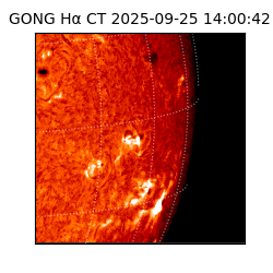 gong - 2025-09-25T14:00:42