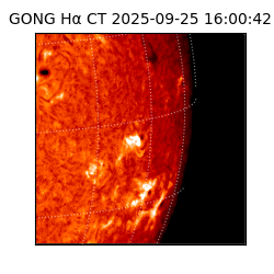 gong - 2025-09-25T16:00:42