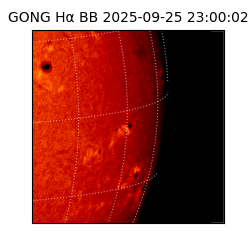 gong - 2025-09-25T23:00:02
