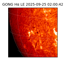 gong - 2025-09-25T02:00:42