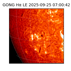 gong - 2025-09-25T07:00:42